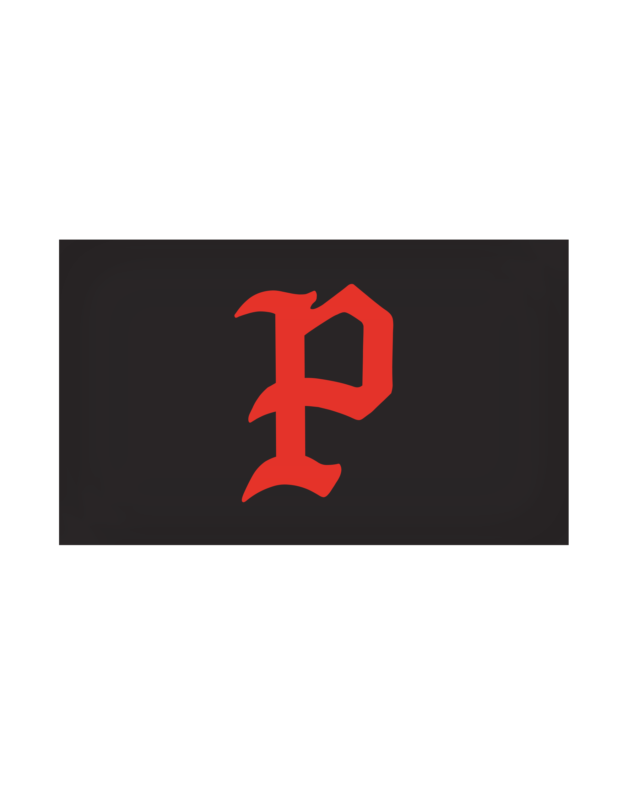 PROS Reversible Flag