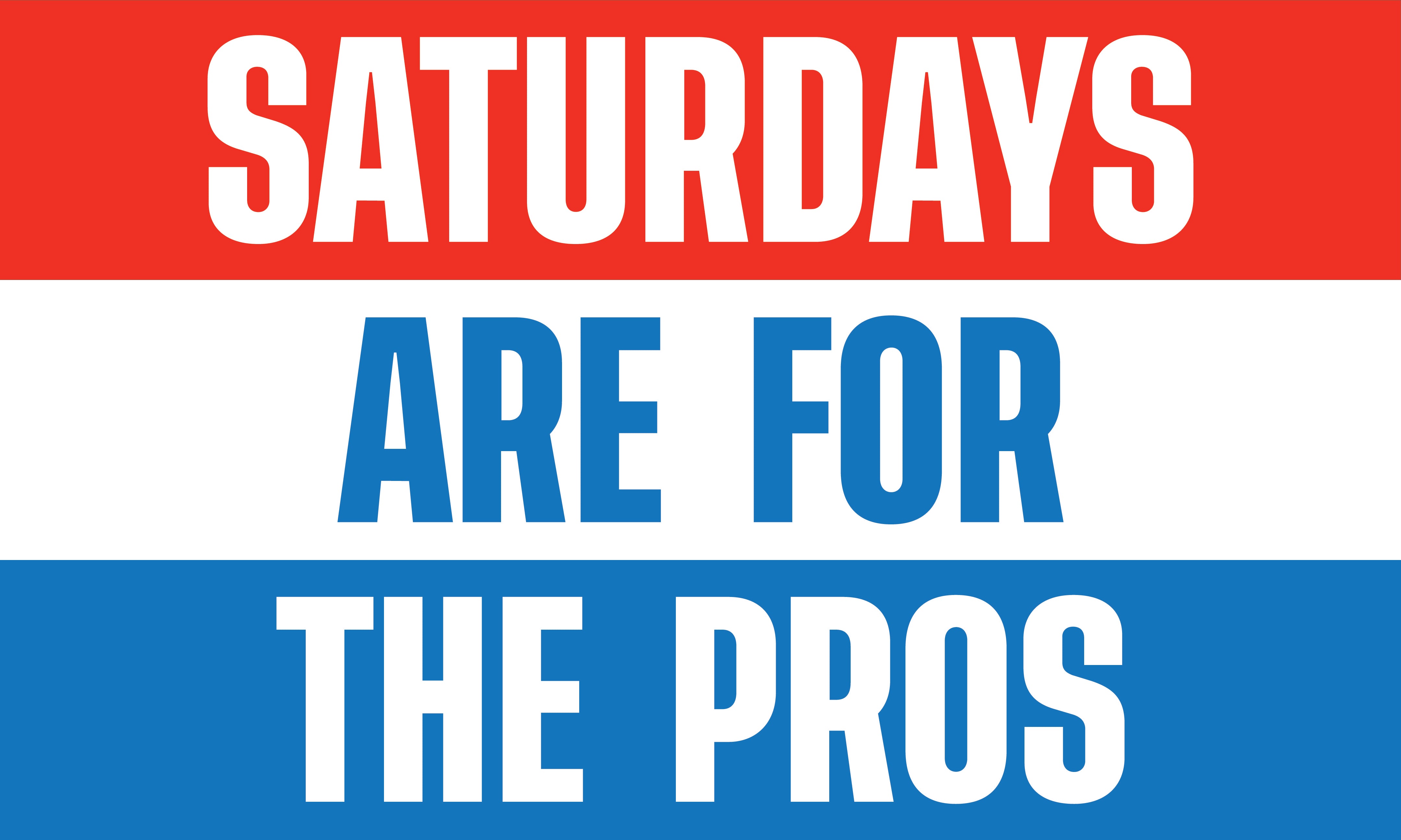 Saturdays Reversible Flag